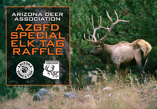 Special Elk Tag AZ